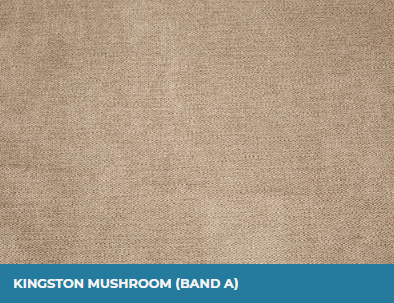 Kingston Mushroom (Band A)